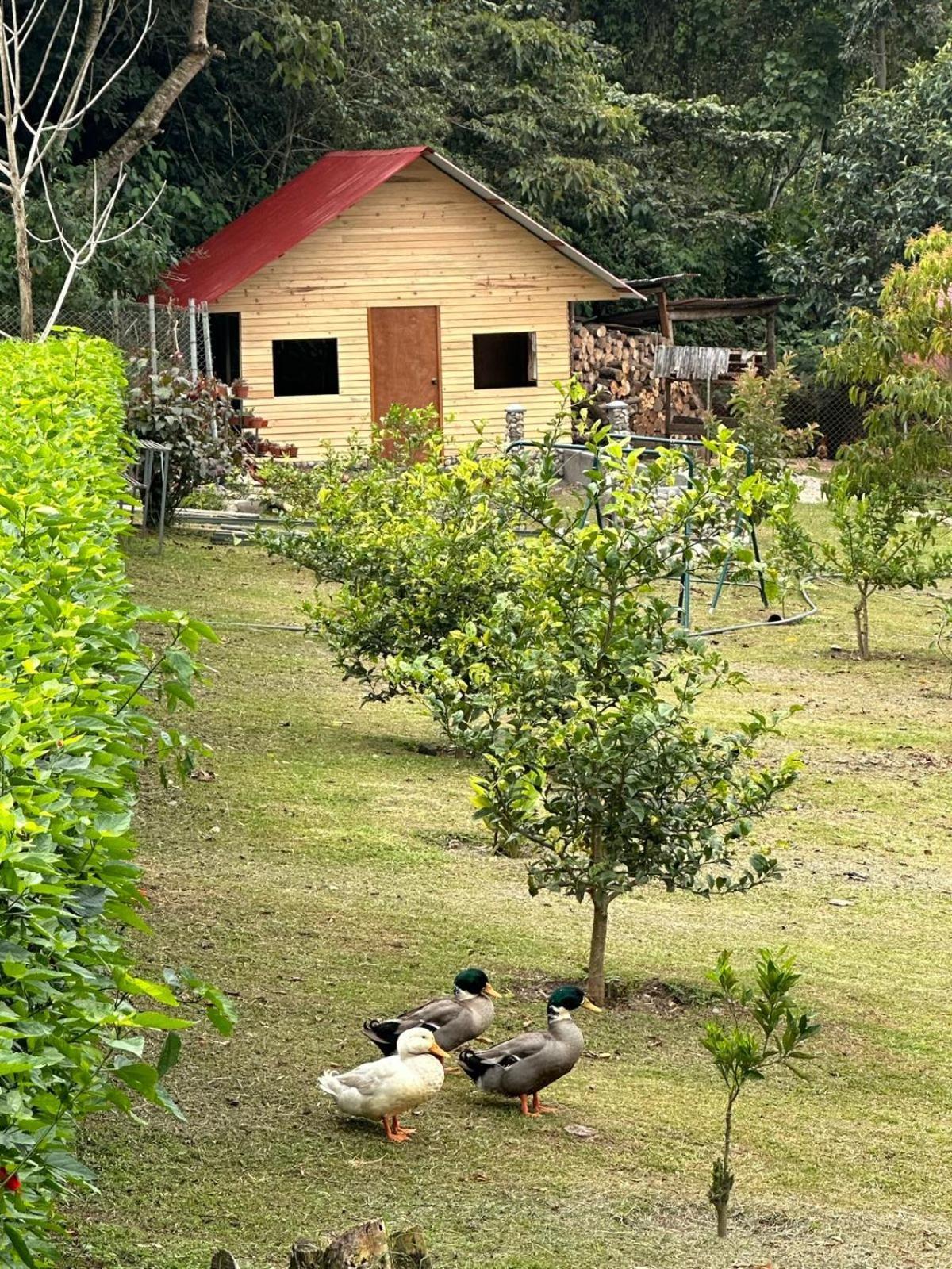 Hassinger Ranch Cabanas オクサパンパ エクステリア 写真