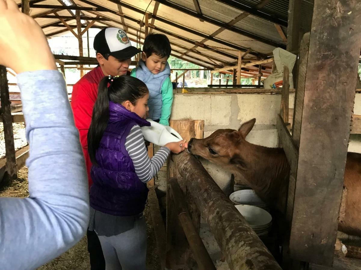 Hassinger Ranch Cabanas オクサパンパ エクステリア 写真