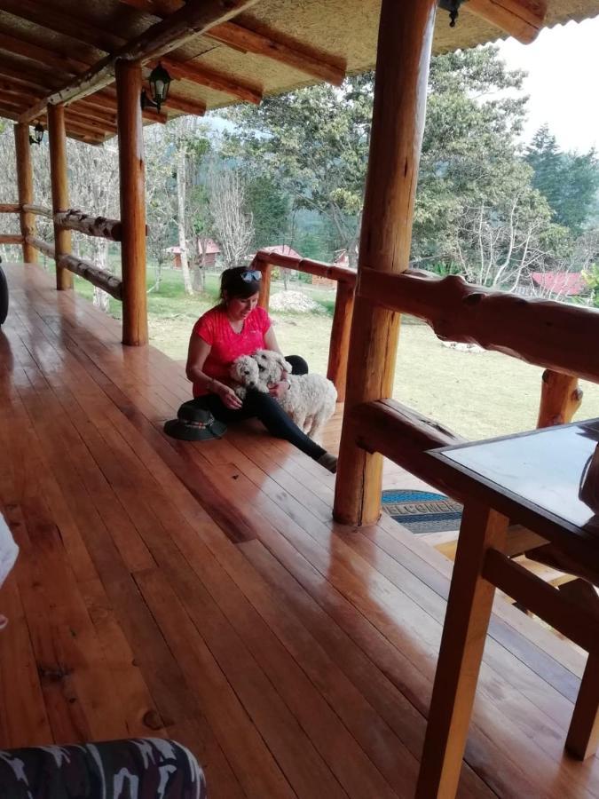 Hassinger Ranch Cabanas オクサパンパ エクステリア 写真